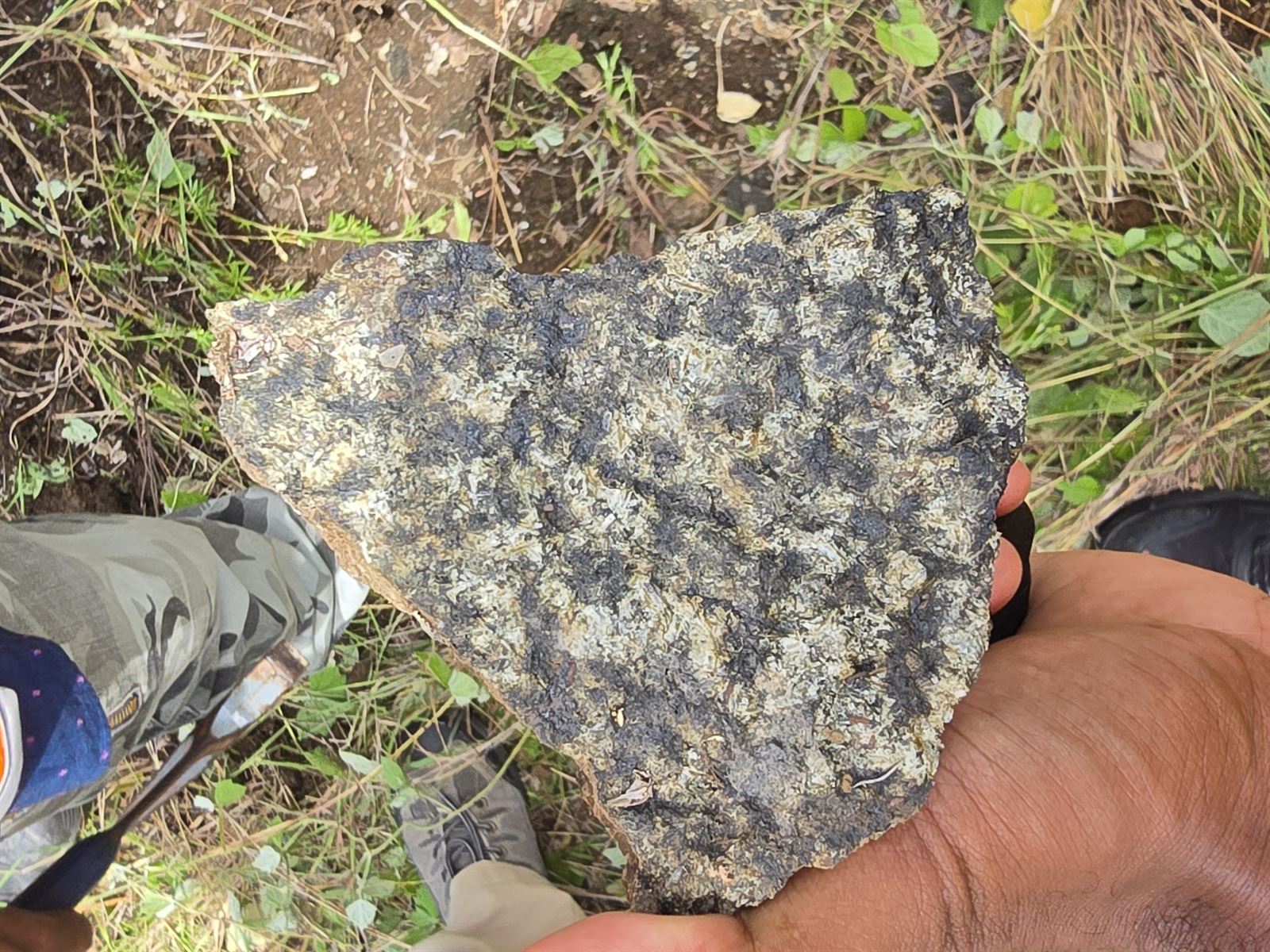 Rock sample collected and studied for geology coursework